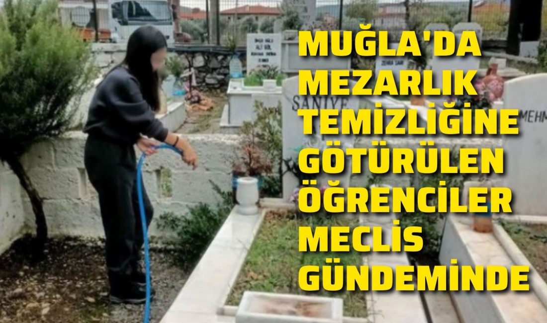 CHP Muğla Milletvekili Avukat