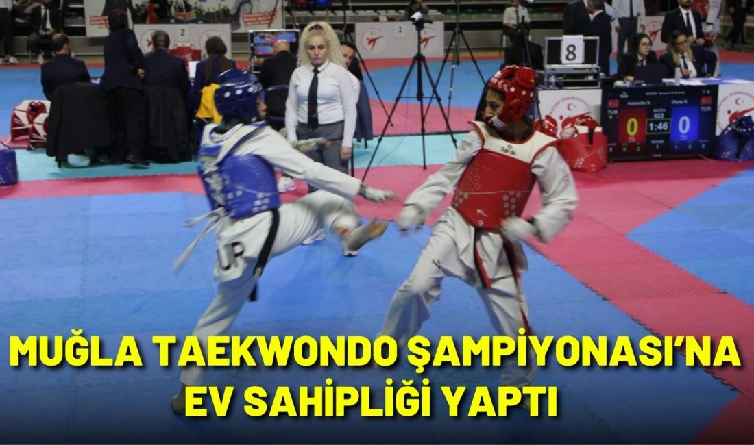 Büyükler Türkiye Taekwondo Şampiyonası,