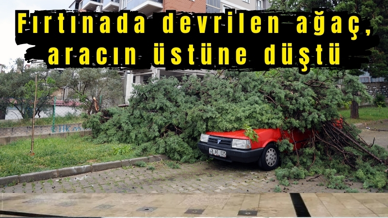 Menteşe’de fırtınada devrilen ağaç, aracın üstüne düştü
