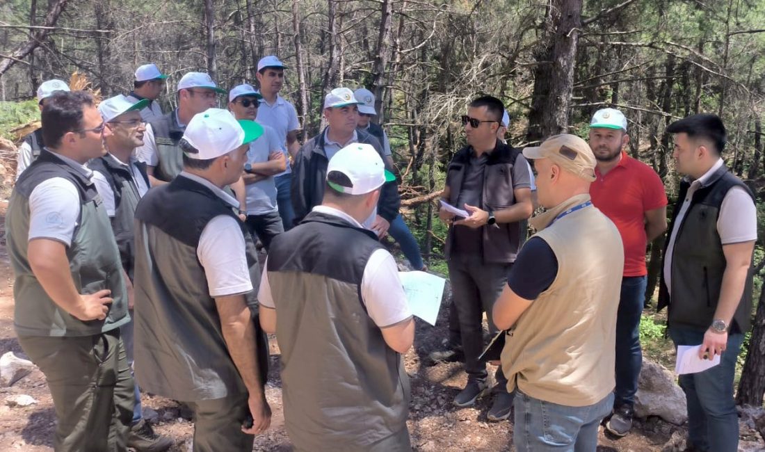 Muğla Orman Bölge Müdürlüğü’nde “Orman Yol Ağı Planları” güncelleme eğitimi düzenlendi