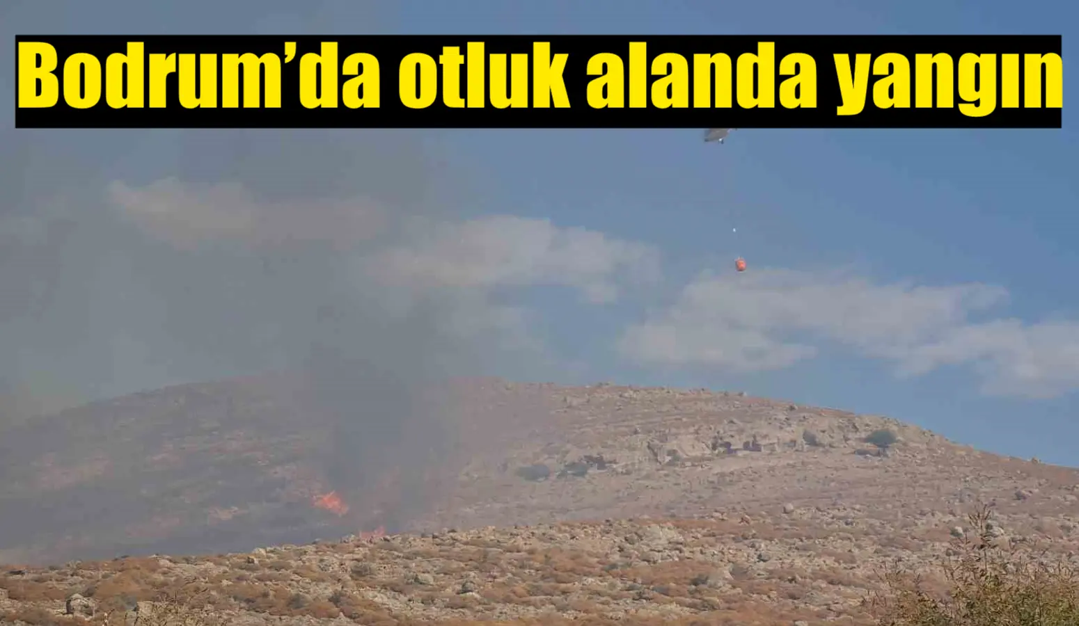 Muğla’nın Bodrum ilçesinde otluk alanda çıkan yangın, havadan ve karadan