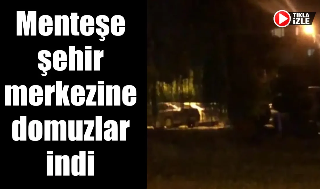 Menteşe şehir merkezi Akyol mevkiinde, akşam saatlerinde aniden ortaya çıkan