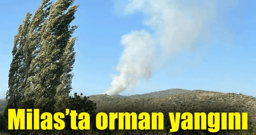 Muğla’nın Milas ilçesindeki ormanlık alanda çıkan yangını söndürme çalışmaları devam