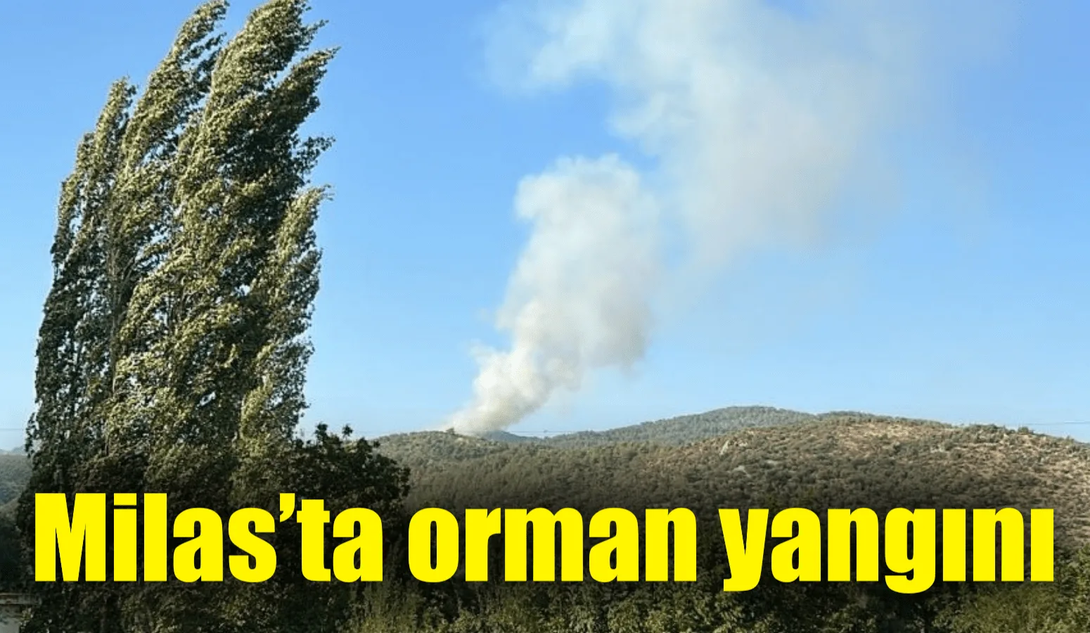 Muğla’nın Milas ilçesindeki ormanlık alanda çıkan yangını söndürme çalışmaları devam