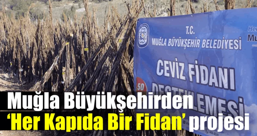 Muğla Büyükşehirden ‘Her Kapıda Bir Fidan’ projesi Muğla’da yaşanan orman yangınları, üreticilerin, vatandaşların zarar gören bahçeleri nedeniyle
