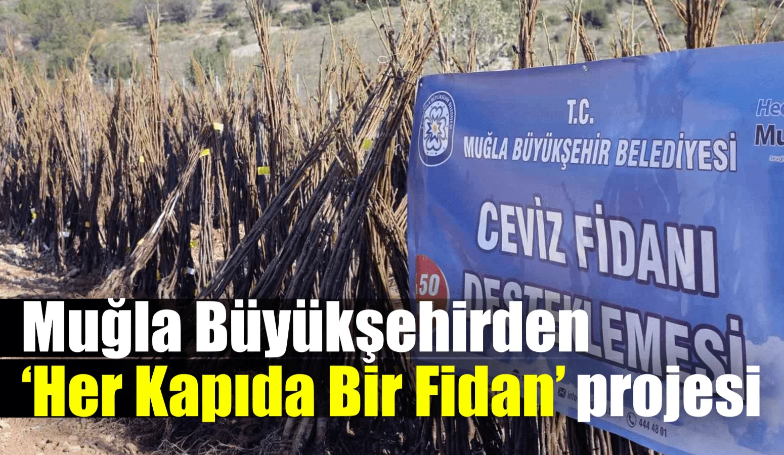 Muğla’da yaşanan orman yangınları, üreticilerin, vatandaşların zarar gören bahçeleri nedeniyle