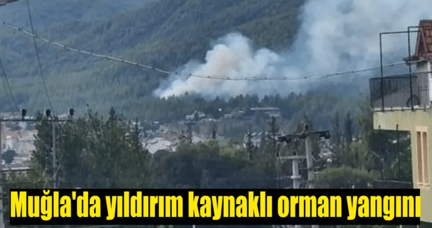 Muğla’nın Seydikemer ilçesinde yıldırım kaynaklı orman yangınını kontrol altına alınırken,