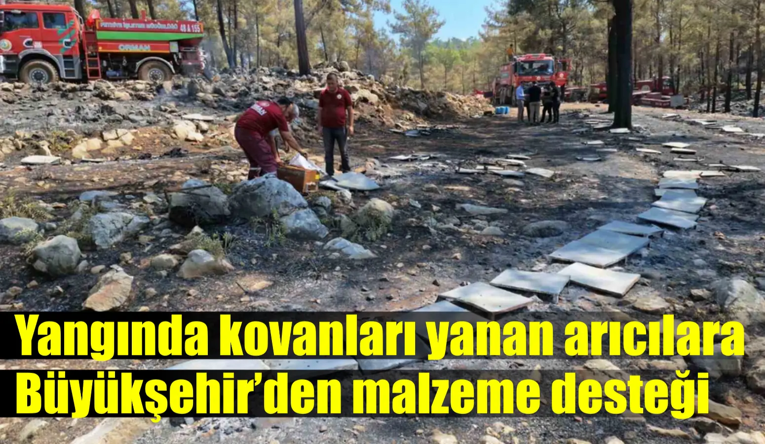 Muğla Büyükşehir Belediyesi Menteşe ilçesi Çatakbağyaka ve Sarnıç Mahalleleri arası