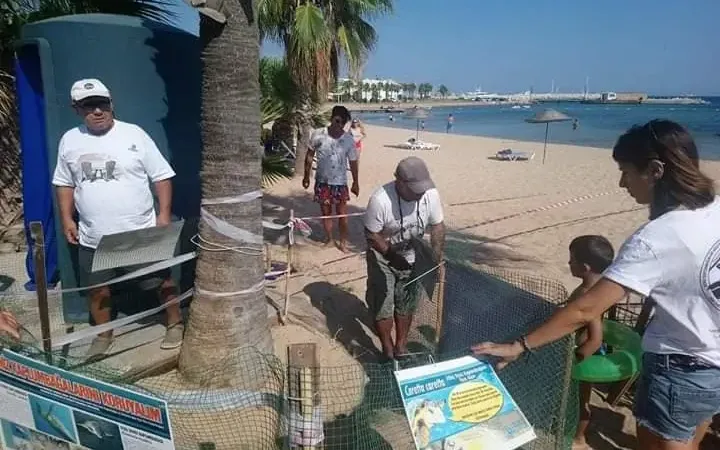 Deniz kaplumbağaları bu yıl Didim’e yumurta bırakmadı Türkiye’de yuvalama alanları dışında olan Didim’de geçtiğimiz yıl 3 farklı