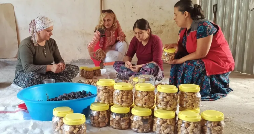 Muğla’nın Fethiye ilçesindeki İncirköy Mahallesi’nde gerçekleştirilen proje kapsamında kadın çiftçiler,