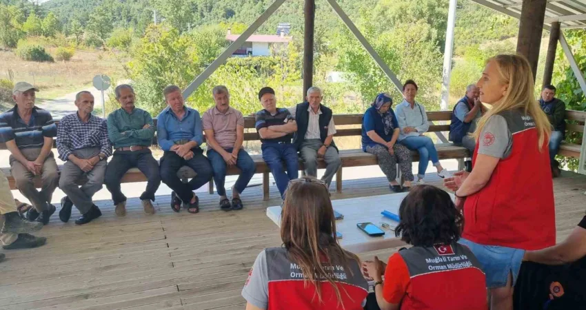 Muğla’nın Fethiye ilçesi bağlı Nif ve Yaylakoru mahallelerinde çiftçilere 2025-2027