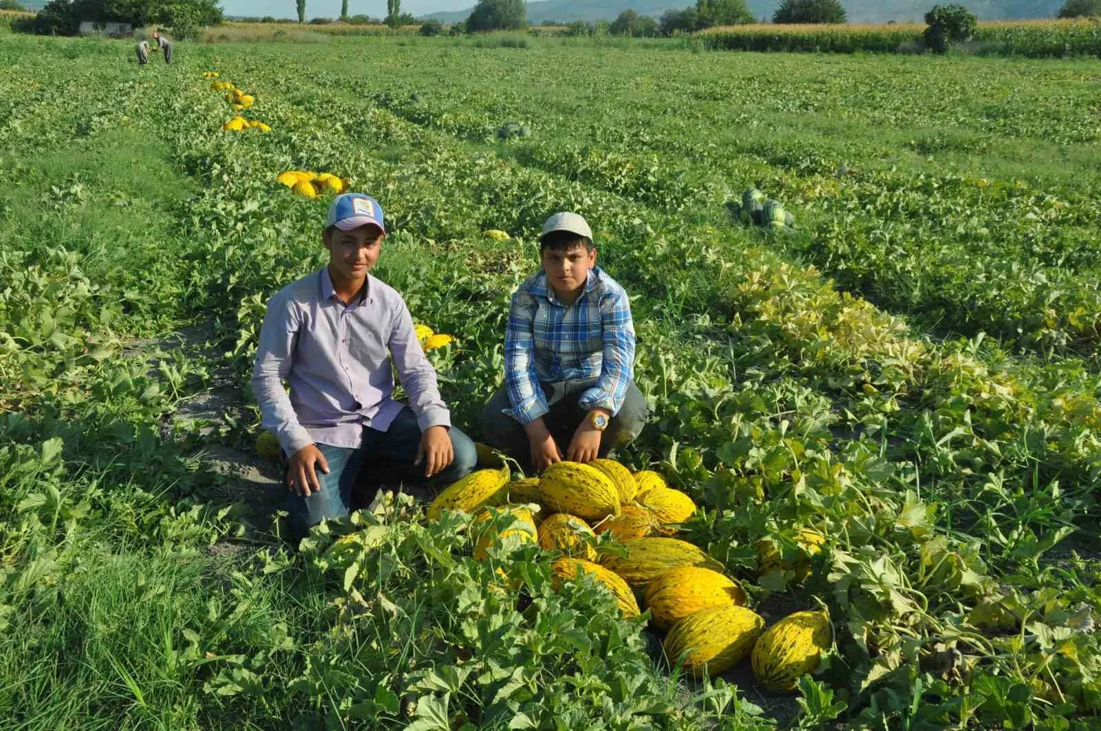 Manisa’nın Kırkağaç ilçesinde deseni, kokusu, tadı ve uzun dayanmasıyla ünlenen