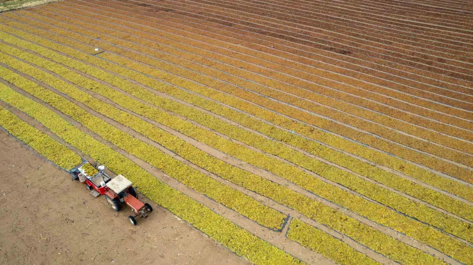 Manisa il genelinde etkili olan gök gürültülü sağanak yağış henüz