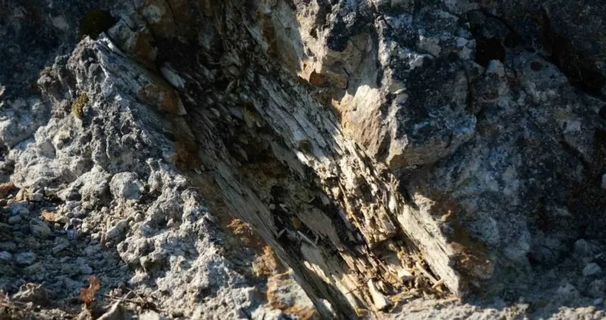 Manisa’nın Yunusemre ilçesinde yaklaşık 25 milyon önce gerçekleşen volkanik patlama