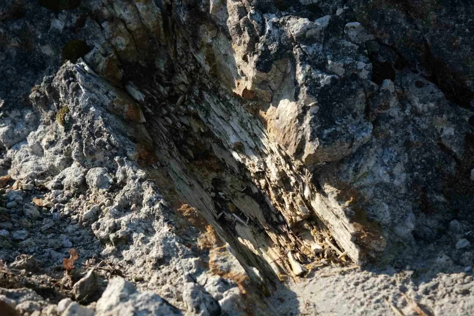 Manisa’nın Yunusemre ilçesinde yaklaşık 25 milyon önce gerçekleşen volkanik patlama