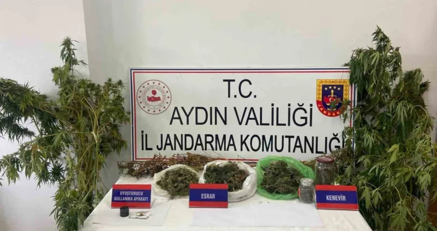 Mısır tarlasına uyuşturucu ekti, jandarmadan kaçamadı Aydın’ın İncirliova ilçesinde mısır tarlasına uyuşturucu eken şüpheli jandarma ekiplerince
