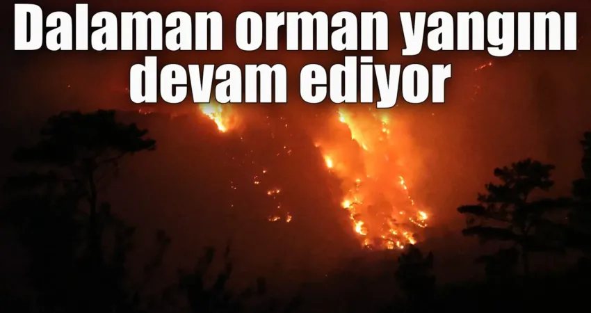 Muğla’nın Dalaman ilçesinde çıkan orman yangını devam ederken, mahalle sakinleri