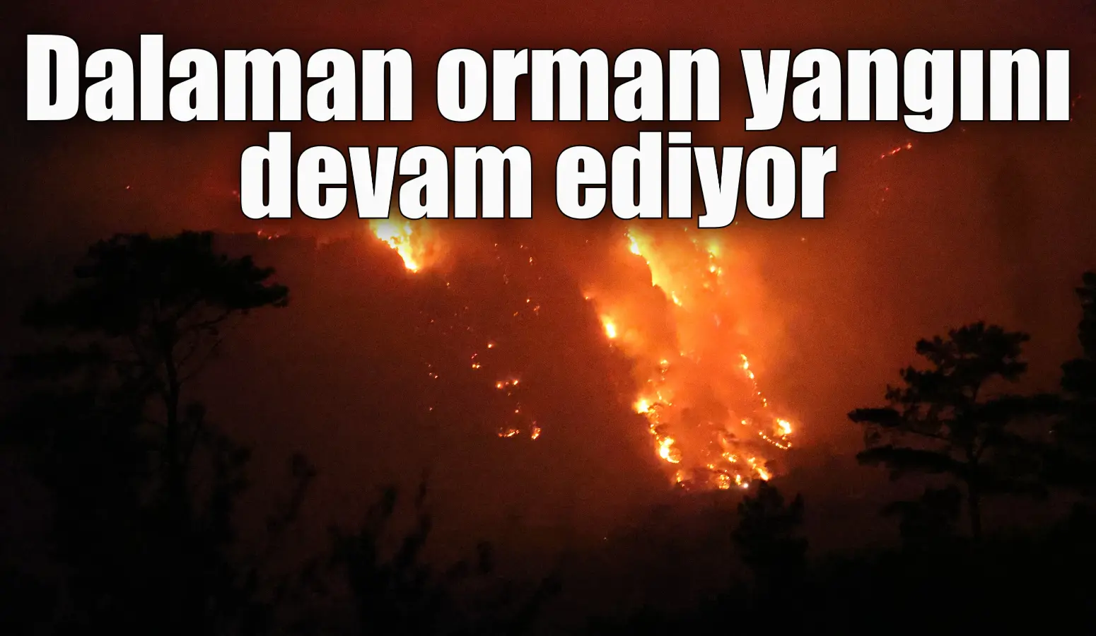 Muğla’nın Dalaman ilçesinde çıkan orman yangını devam ederken, mahalle sakinleri