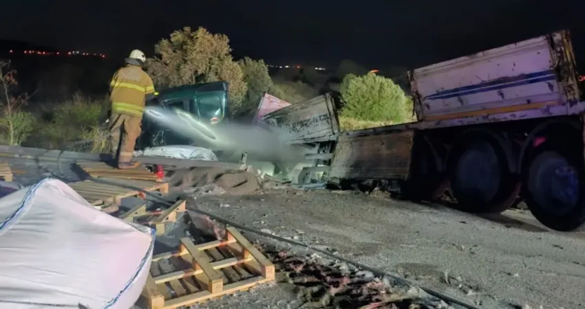 İzmir’in Aliağa ilçesinde, seyir halindeyken yoldaki ata çarpan tır, ardından