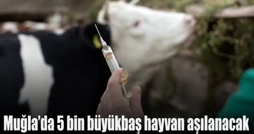 Muğla’da sürdürülebilir kırsal kalkınmanın sağlanması amacıyla, Muğla Büyükşehir Belediyesi ile