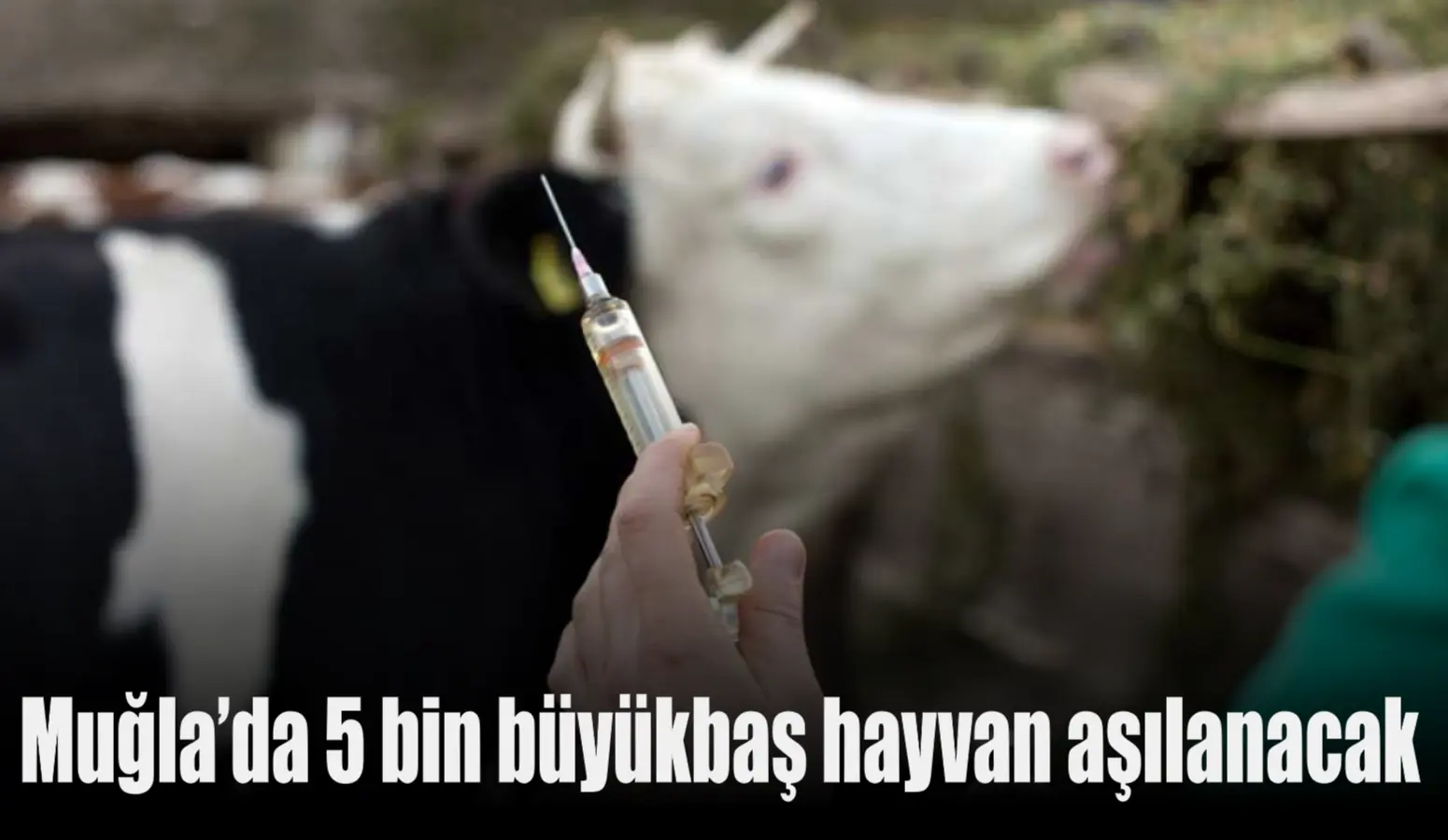 Muğla’da sürdürülebilir kırsal kalkınmanın sağlanması amacıyla, Muğla Büyükşehir Belediyesi ile