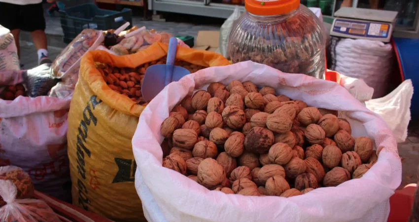 Muğla’da ceviz toplama mevsimi geldi Muğla’da ceviz toplama mevsimi geldi. Ceviz ağacı olan vatandaşlar sonbaharın