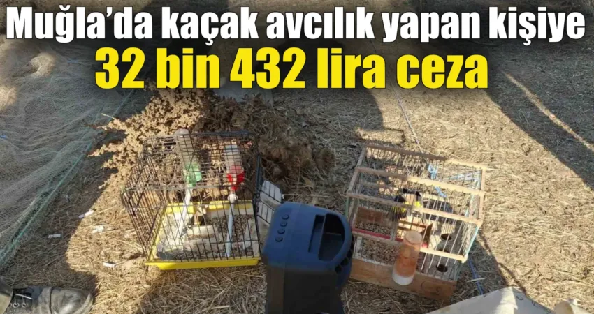 Muğla’nın Ula ilçesinde, doğa koruma ekipleri tarafından yapılan denetimlerde yasa