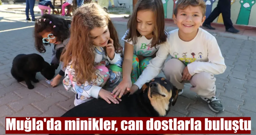 Muğla Büyükşehir Belediyesi Geçici Hayvan Bakımevi 4 Ekim Dünya Hayvanları