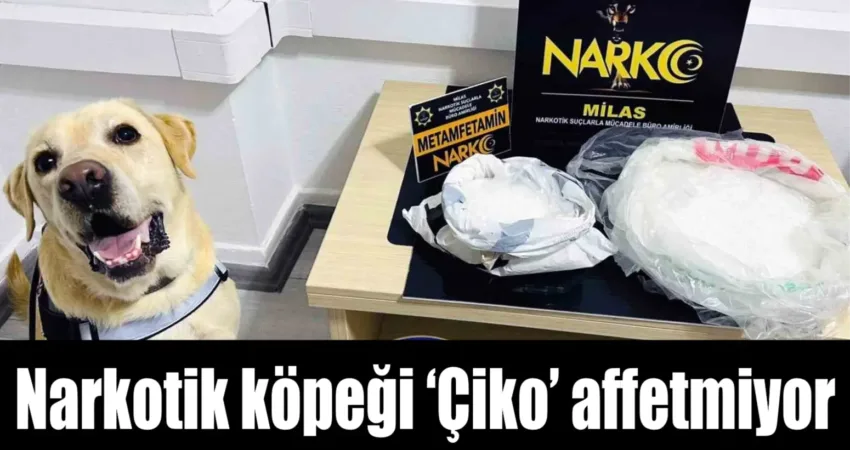 Narkotik köpeği ‘Çiko’ affetmiyor Muğla Emniyet Müdürlüğü KOM ve NARKO ekipleri ve narkotik köpeği