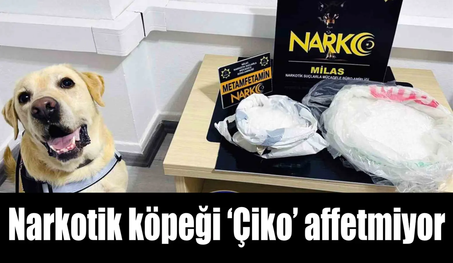 Muğla Emniyet Müdürlüğü KOM ve NARKO ekipleri ve narkotik köpeği