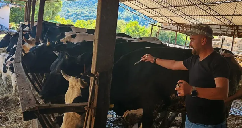 Ortaca İlçe Tarım ve Orman Müdürlüğü, 2024 Sonbahar Şap Aşılama