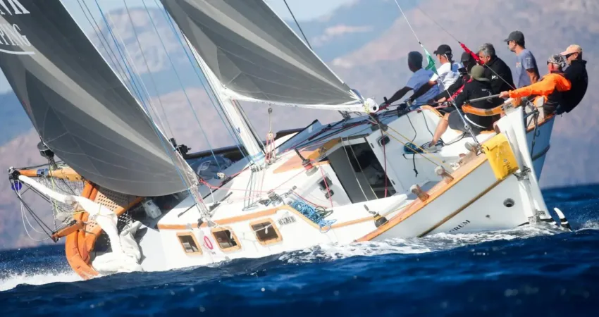 Maximiles Black 36. The Bodrum Cup Yarışları başlıyor Maximiles Black 36. The Bodrum Cup, heyecan dolu yarışlar, özel