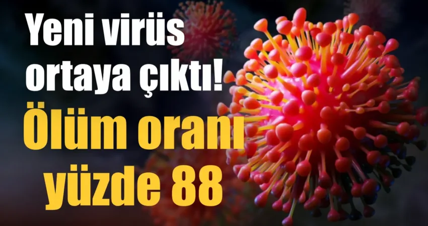 Yeni virüs ortaya çıktı! Ölüm oranı yüzde 88 Dünya Sağlık Örgütü (DSÖ) dünyanın Marburg isminde yeni bir virüs