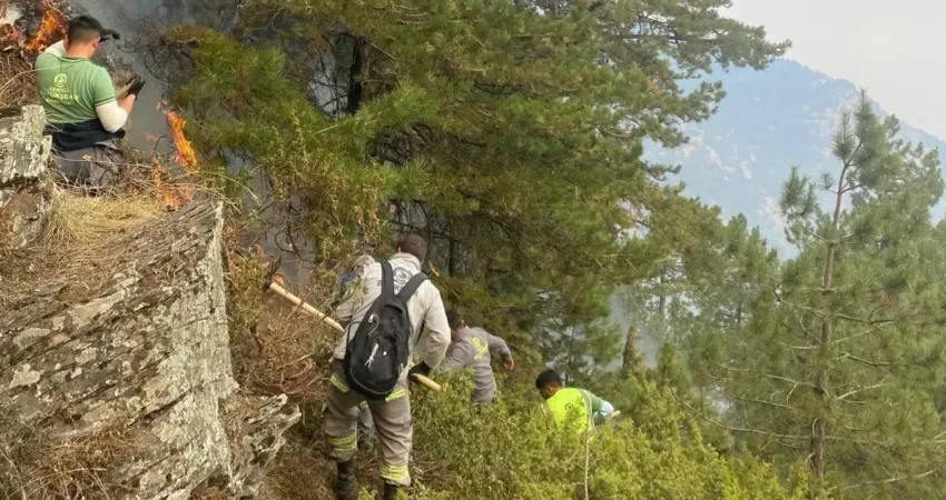 &nbsp;Denizli’nin Karcı Dağı’nda günlerdir orman yangınıyla mücadele eden kontrol altına