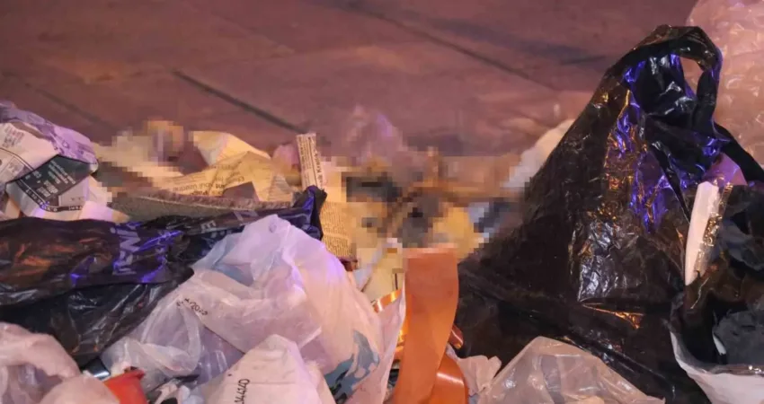 Çöpten çıkan kemikler paniğe neden oldu Denizli’de çöpte bulunan kemikler insana ait olma ihtimalinden dolayı paniğe