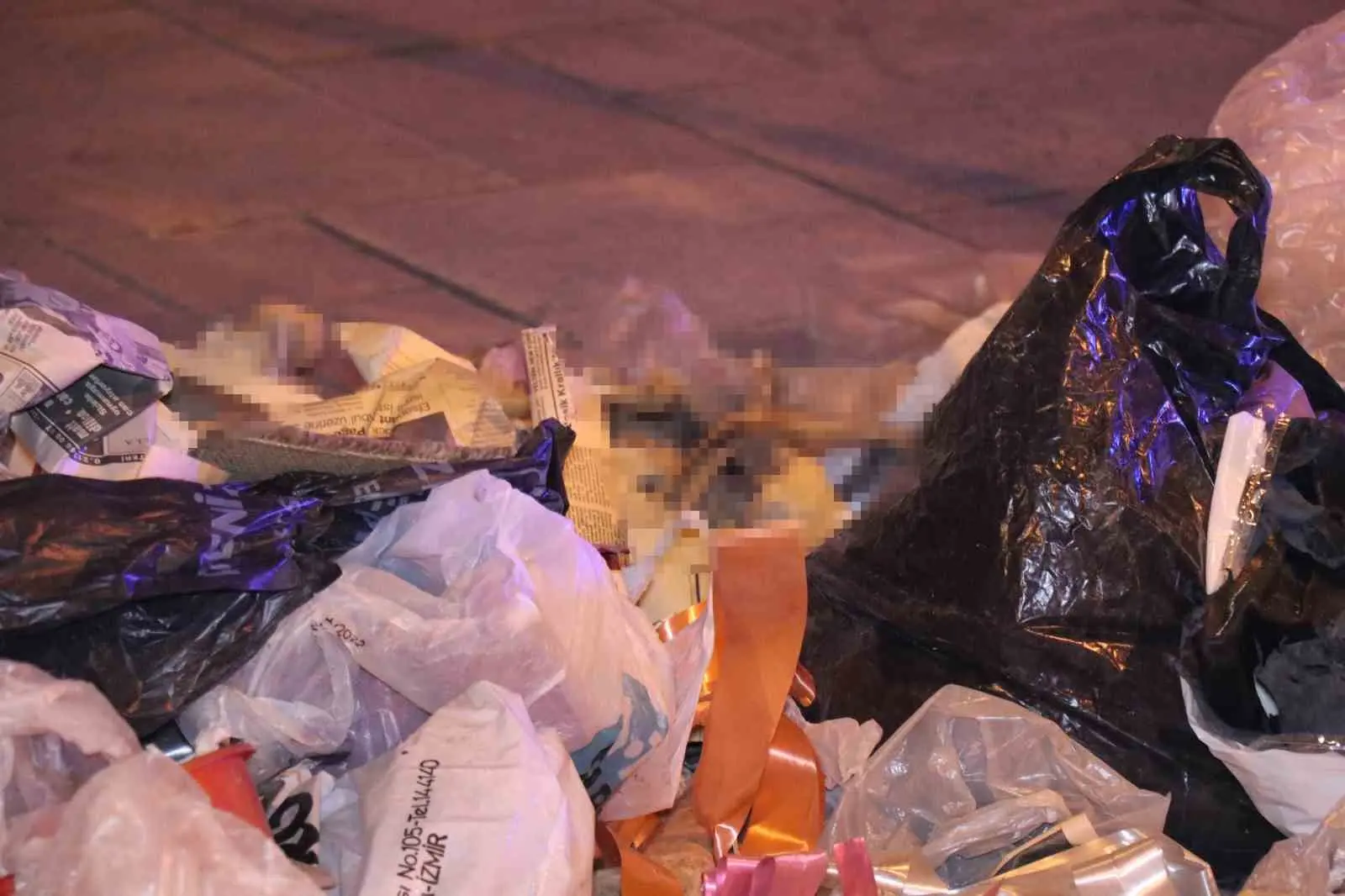 Denizli’de çöpte bulunan kemikler insana ait olma ihtimalinden dolayı paniğe