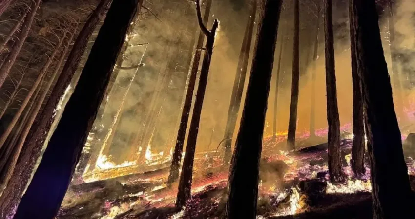 Denizli’deki yangına 5. günde müdahale devam ediyor Denizli’nin Merkezefendi ilçesinde beşinci günde devam eden orman yangınının kontrol