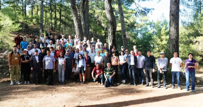 Orman Genel Müdürlüğü, FAO (Birleşmiş Milletler Gıda ve Tarım Örgütü)