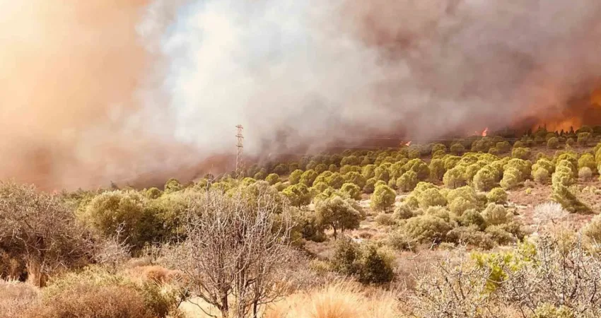 İzmir’de orman yangını İzmir’in Foça ilçesinde çıkan orman yangınına havadan ve karadan müdahale