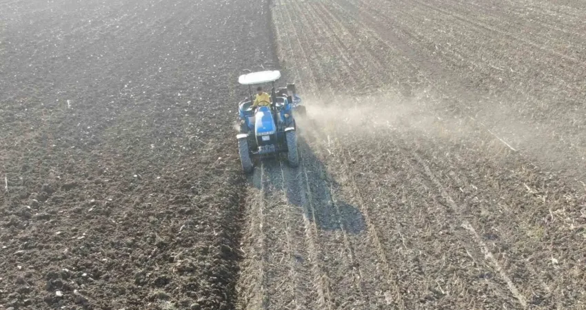 Almanya’da yaşayan 24 yaşındaki Batıkan Bozkurt, Aydın’ın Efeler ilçesindeki babasının