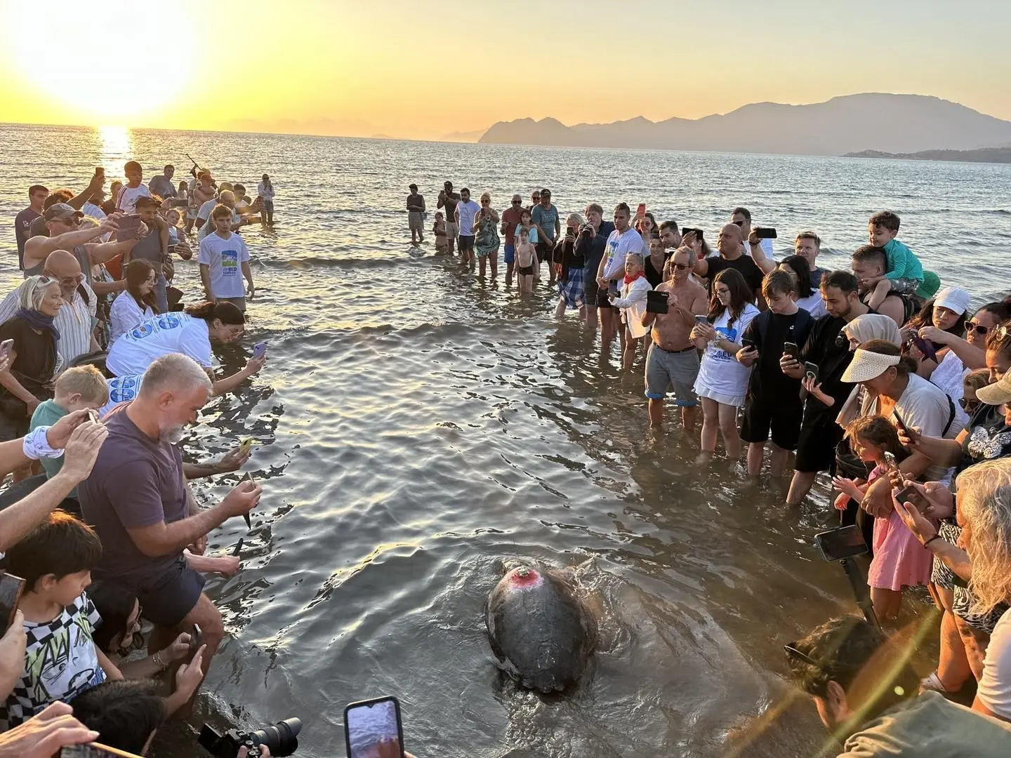 Muğla’nın Ortaca ilçesinde dünyaca ünlü Dalyan Mahallesi İztuzu Plajı’nda bulunan