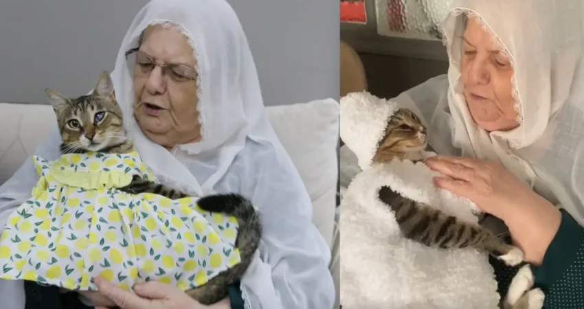 Manisa’nın Soma ilçesinde yaşayan 82 yaşındaki Rukiye Eryiğit, sokakta bulup