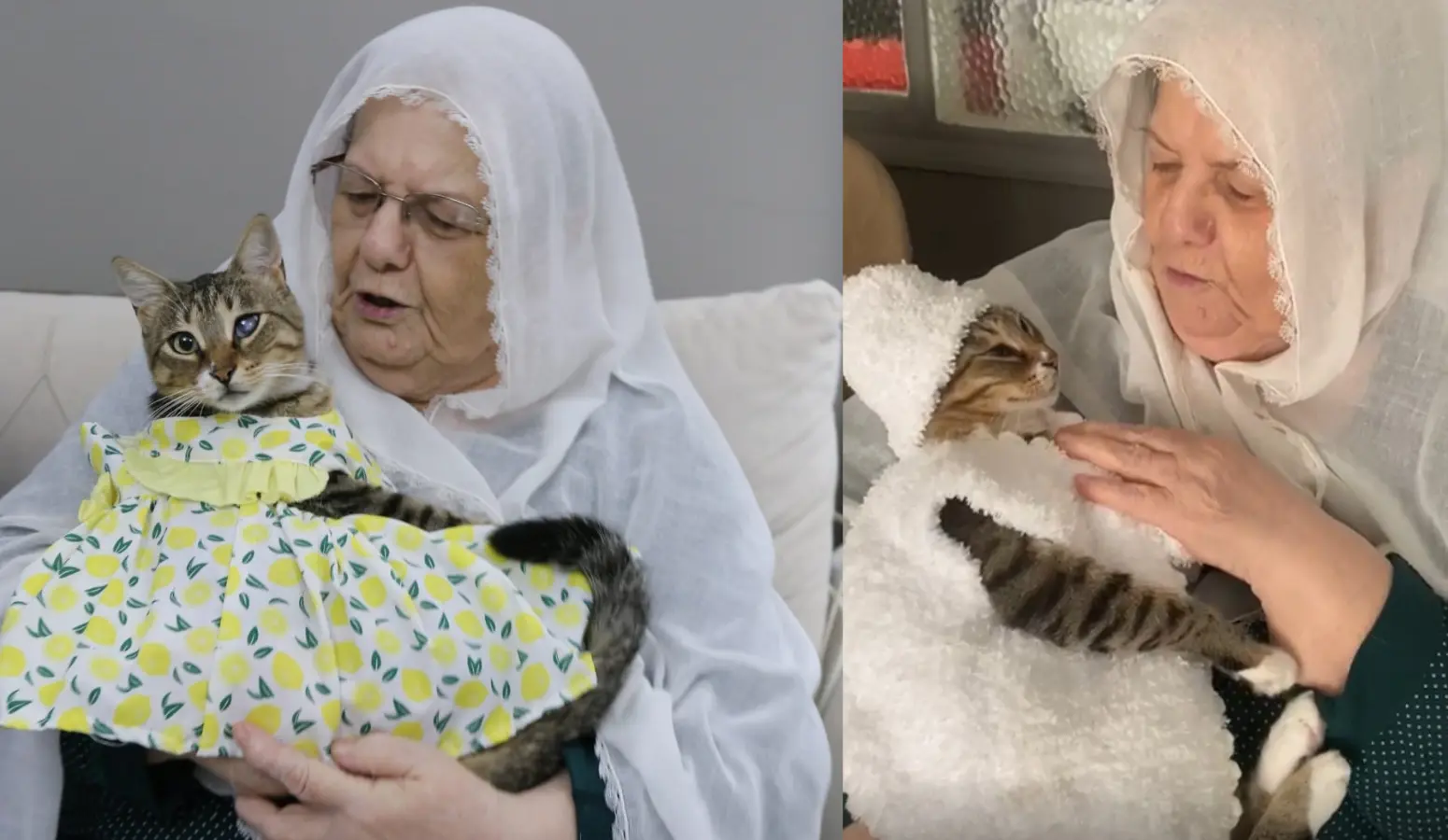 Manisa’nın Soma ilçesinde yaşayan 82 yaşındaki Rukiye Eryiğit, sokakta bulup