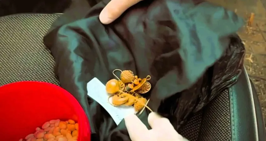 Denizli’de jandarmanın düzenlediği operasyonda, Lidya dönemine ait 1600 yıllık altın