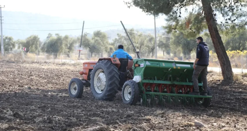 ⁠Bodrum Belediyesi Tarımsal Hizmetler Müdürlüğü, Karaova’da belediyeye ait tarım arazilerinde