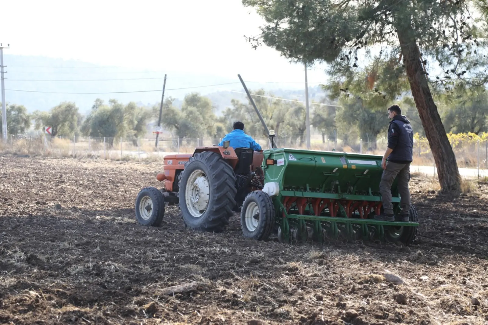 ⁠Bodrum Belediyesi Tarımsal Hizmetler Müdürlüğü, Karaova’da belediyeye ait tarım arazilerinde