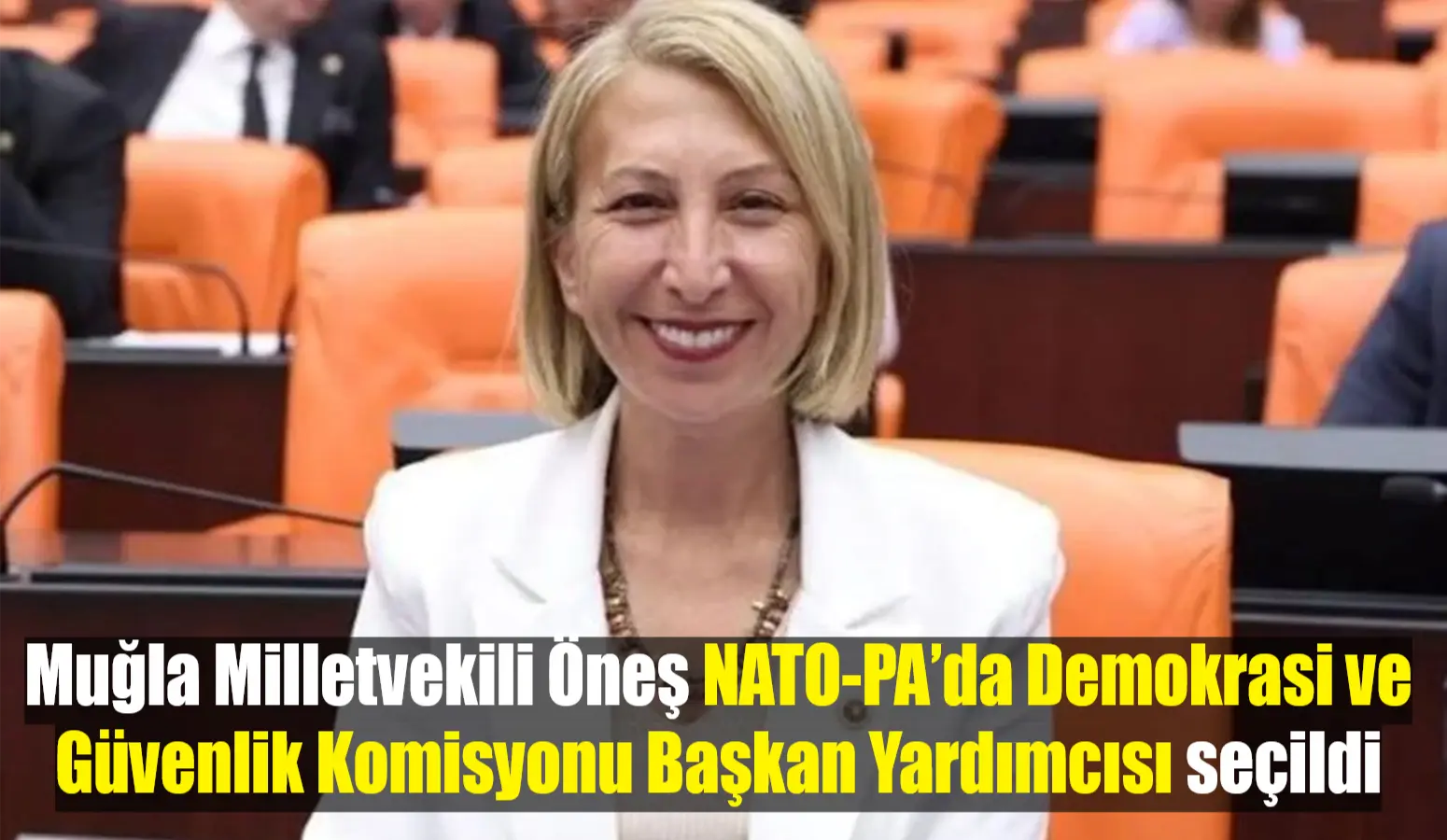 Muğla CHP Milletvekili Süreyya Öneş Derici, NATO- PA Montreal yıllık