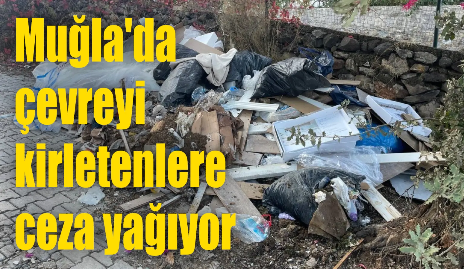 Muğla’nın Bodrum ilçesinde sokak, cadde ve doğal alanlara gelişi güzel