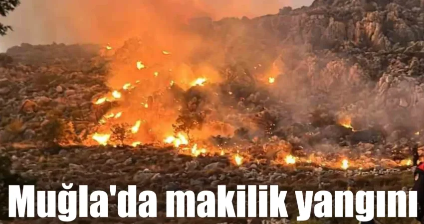 Muğla’nın Marmaris ilçesinde sarp arazideki makilik alanda çıkan yangını söndürme