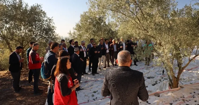 Muğla’nın Kavaklıdere ilçesinin Derebağ Mahallesi’nde yer alan tarihi Hillerima Antik